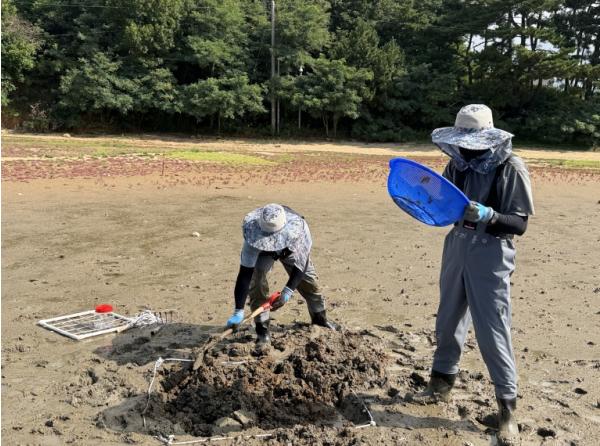 경기도, 대부도 일대서 멸종위기야생생물 ‘흰발농게’ 서식 확인 기사 이미지